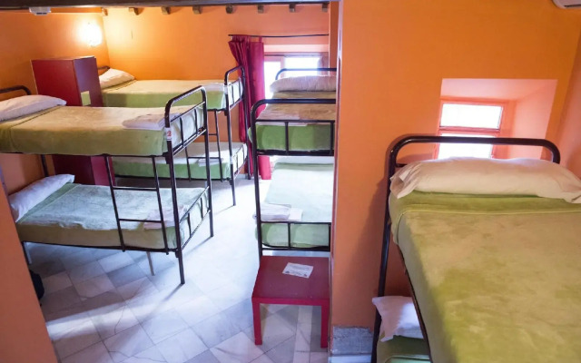 White Nest Hostel