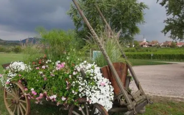 Gite Le Petit Moulin