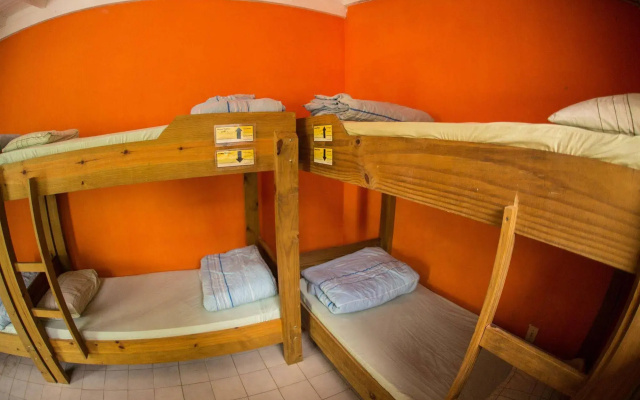 Geckos Hostel