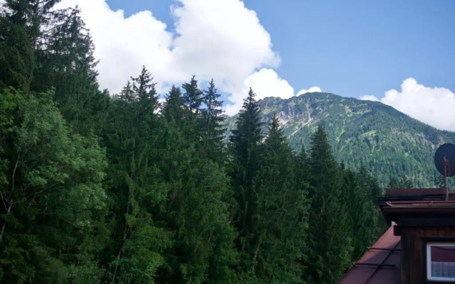 Mountain Hostel City