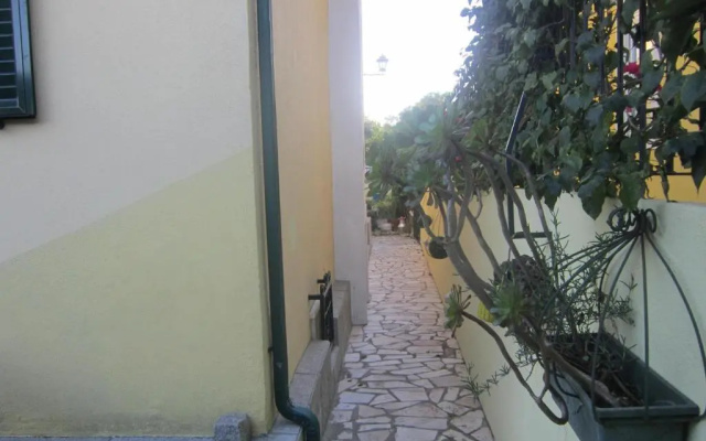 Studio & Garden