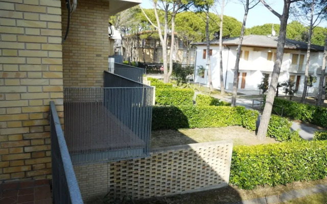 Ville Schiera