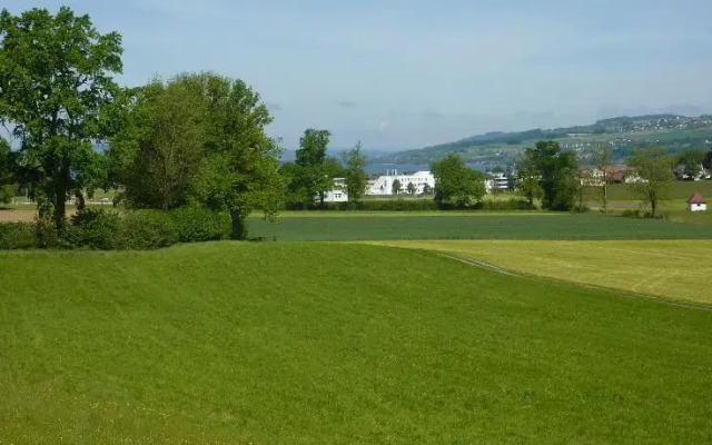 Wurzelbaumhaus