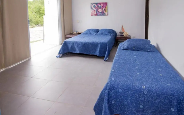 Cabaña Don Alejo