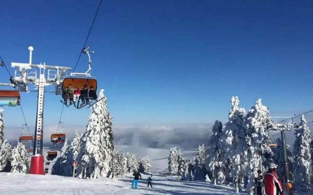 Holiday Home Abertamy