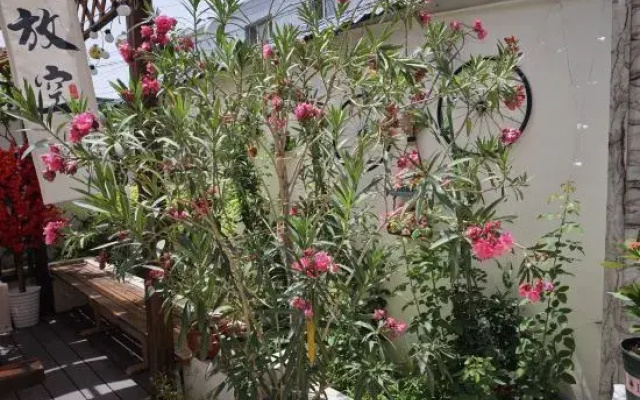 Yining Muzi Family Homestay