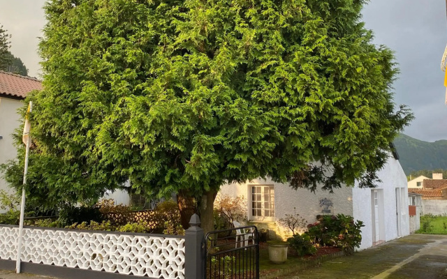 THE CEDAR TREE HOUSE Studio 48