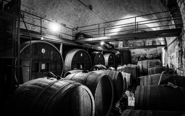 Tenuta Colavecchio