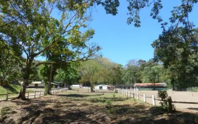Ranch Black Horse