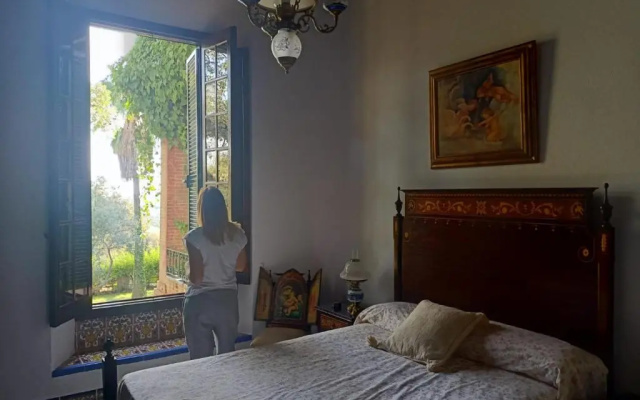 Aracenilla 7