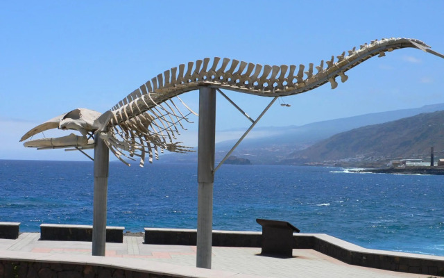 Casa"La Gomera"