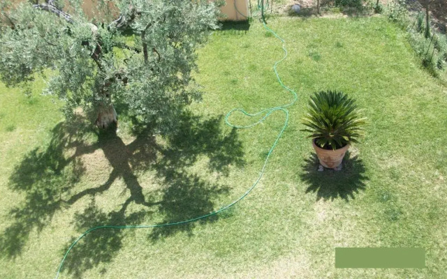 Il Giardino degli Ulivi