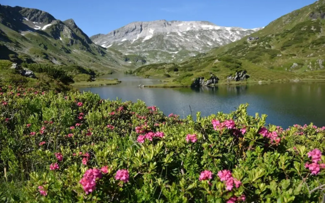 Schachneralm