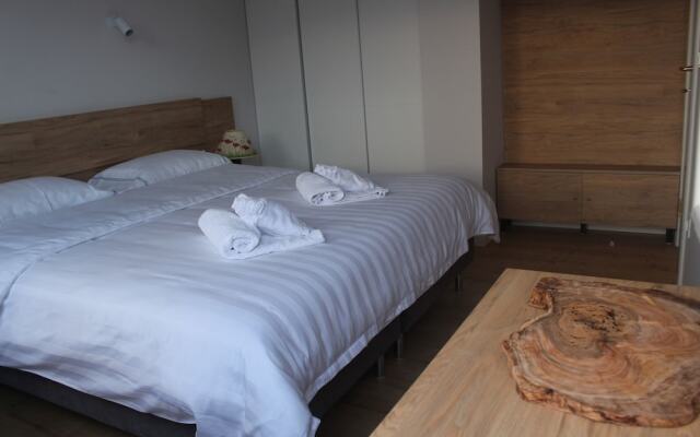 Отель Lake Muse Apartments Албания, Тирана - отзывы, цены и фото номеров - забронировать отель Lake Muse Apartments онлайн комната для гостей