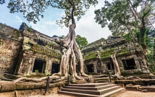 Seng Live Angkor Guesthouse