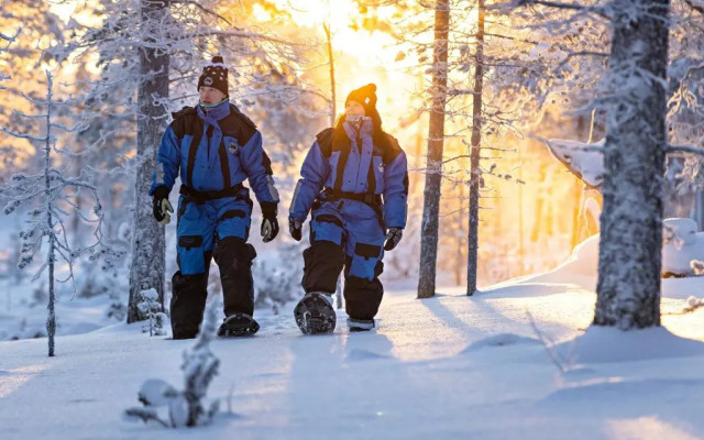 Polar Aurora Cabins