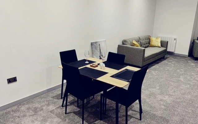Spacious Urban City Apartment