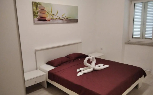 Gecko Apartment