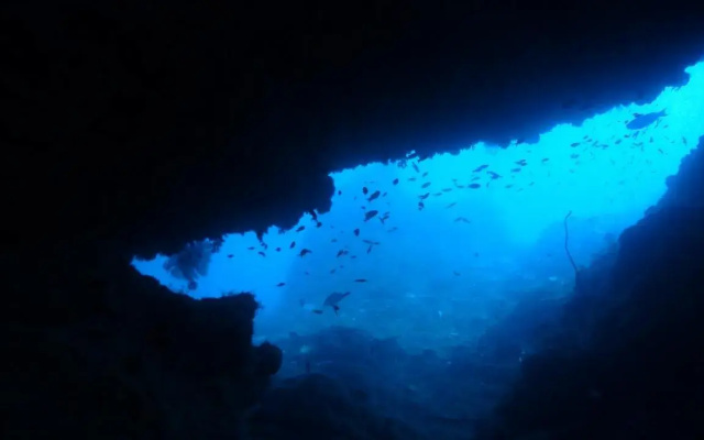 WonderOcean Dive Hostel
