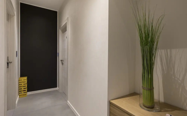 Deluxe Apartments & Rooms In the Center