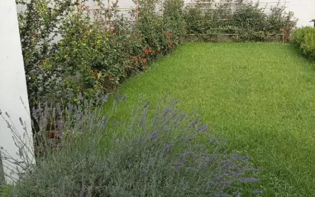 La Suite della casa bianca
