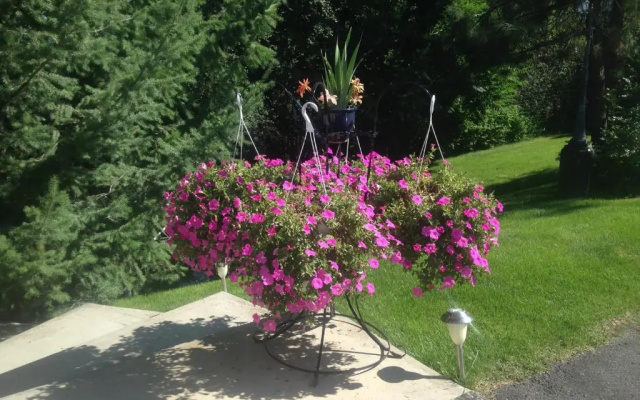 Eagles Nest B&B