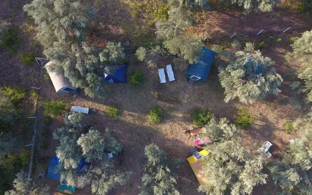 Ozgur Beach Camp