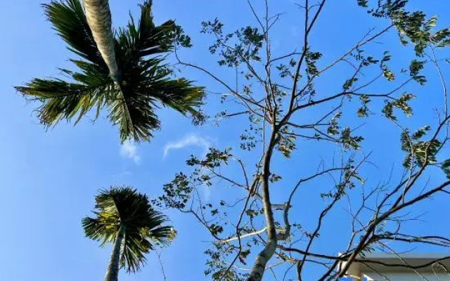 LIB · Shixiwu Homestay (Wanning Riyue Bay)