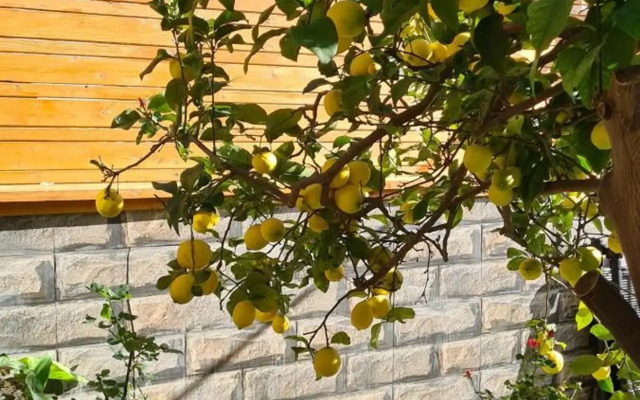 Maria's GuestHouse - Uphill View of Nazareth F