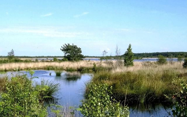 Vakantiehuis 57