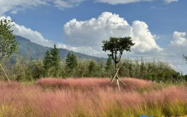 Nanhuaju Homestay