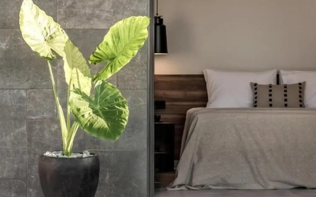 Aku Suites with private pools