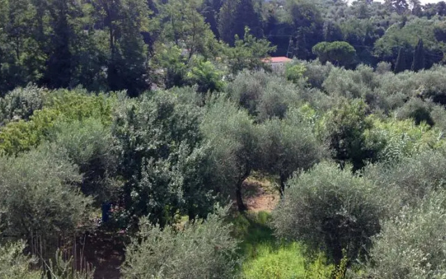 Baia di San Terenzo