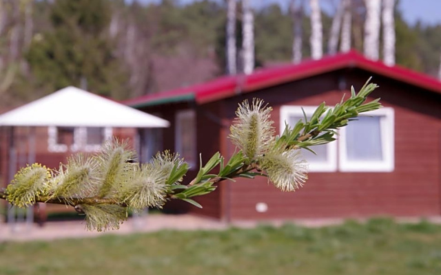 Wakacje Na Wyspie Campsite