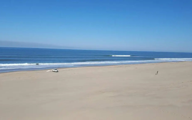 Raphia on Sea