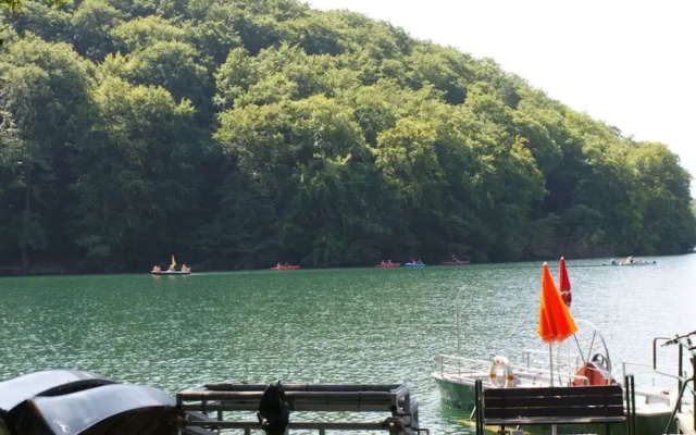 Apartment in Feldberger Seenlandschaft