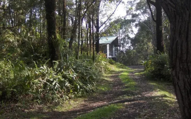 Secluded Rainforest Retreat