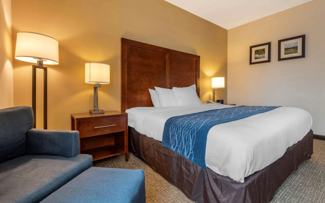 Comfort Inn Apalachin / Binghamton W Route 17