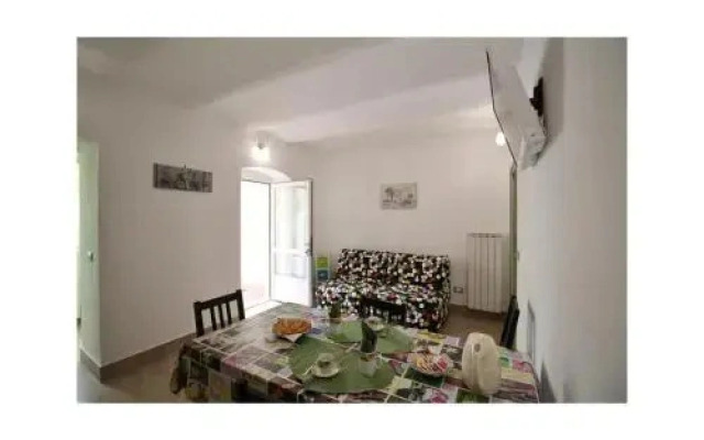 House Basilico