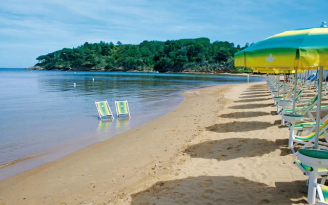 Holiday Park- Studio