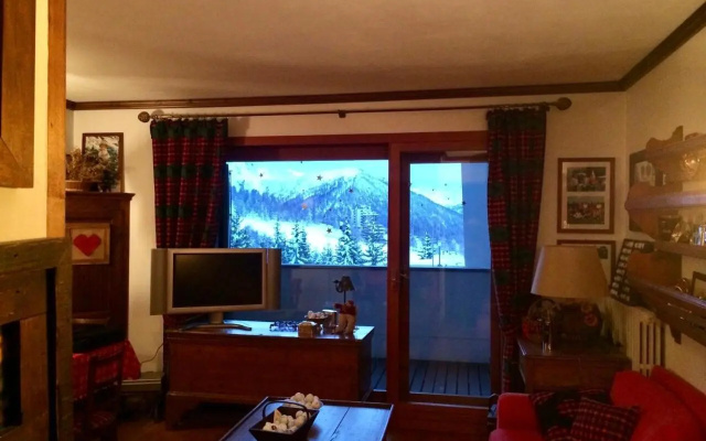 Nice house on the ski slopes