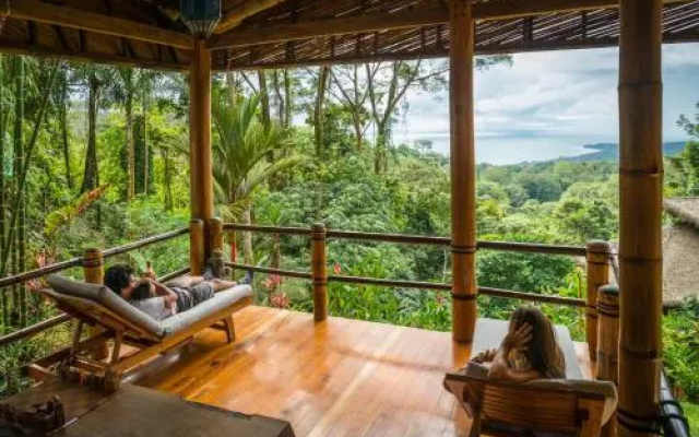 Selva Armonia