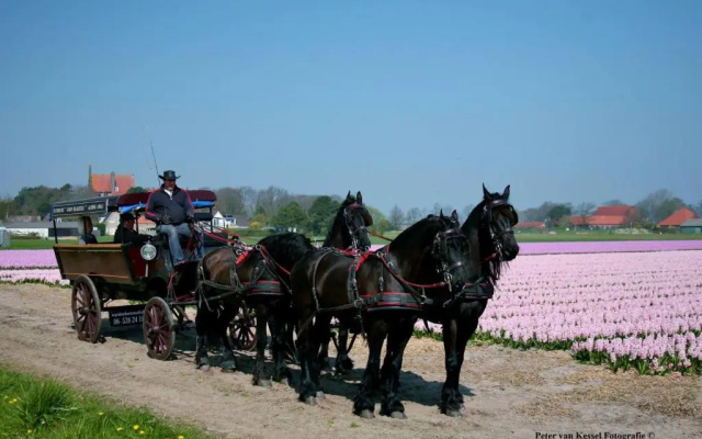 Sterrenhoeve