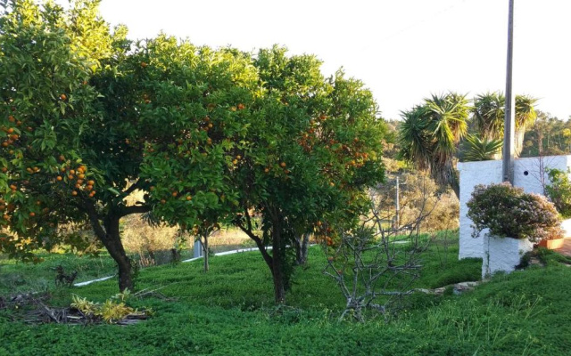 Monte do Altinho
