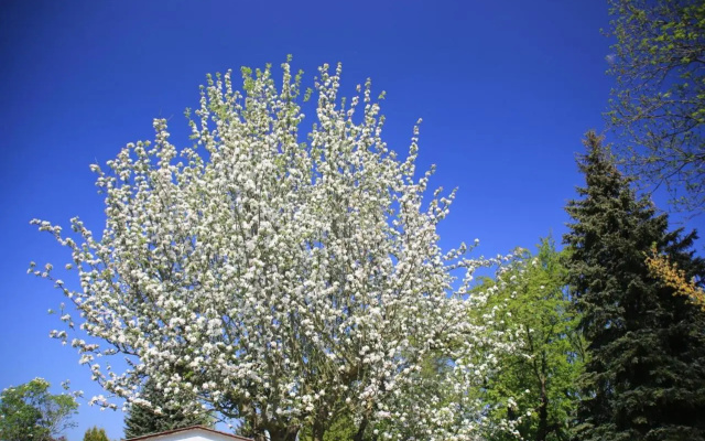 Mitten Im Seenland Und Spreewaldnah, Schoner Garten