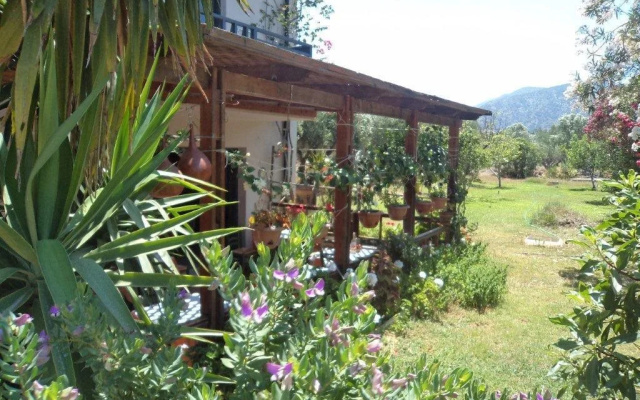 Eleni Apartments