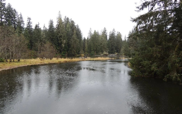 Remote Renfrew Riverside Retreat
