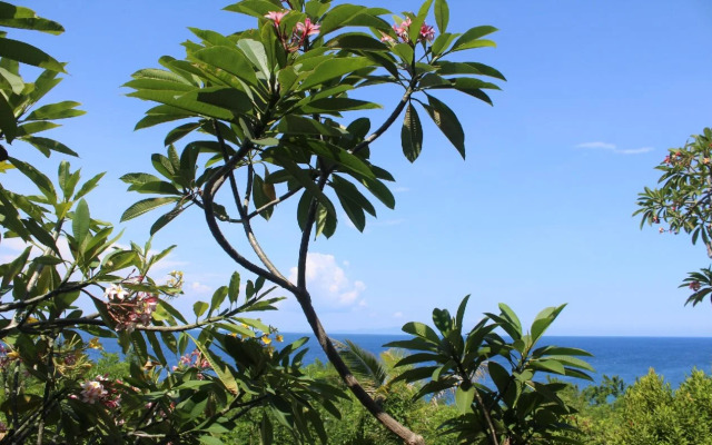 Manta Cottage Seaview Plus