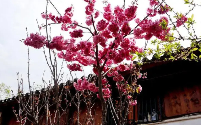 Lijiang Happy Inn