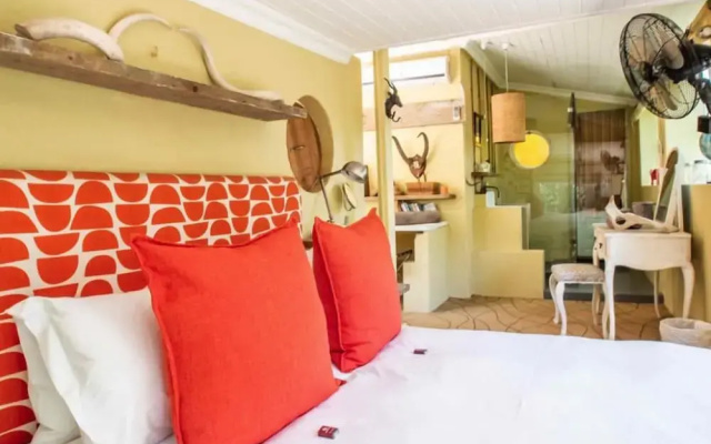 Aloe Corner Franschhoek